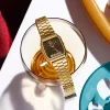 Casio Vintage AQ-230GA-5AMQYES rannekello