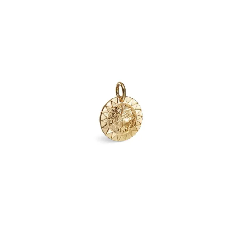 Kalevala Amuletti Aurinkoleijona hela, pronssi