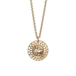 Kalevala Amuletti iso riipus, Aurinkoleijona, pronssi