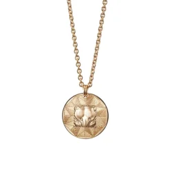 Kalevala Amuletti Pohjankarhu iso riipus, pronssi