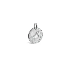 Kalevala Amuletti Taikalintu hela, hopea