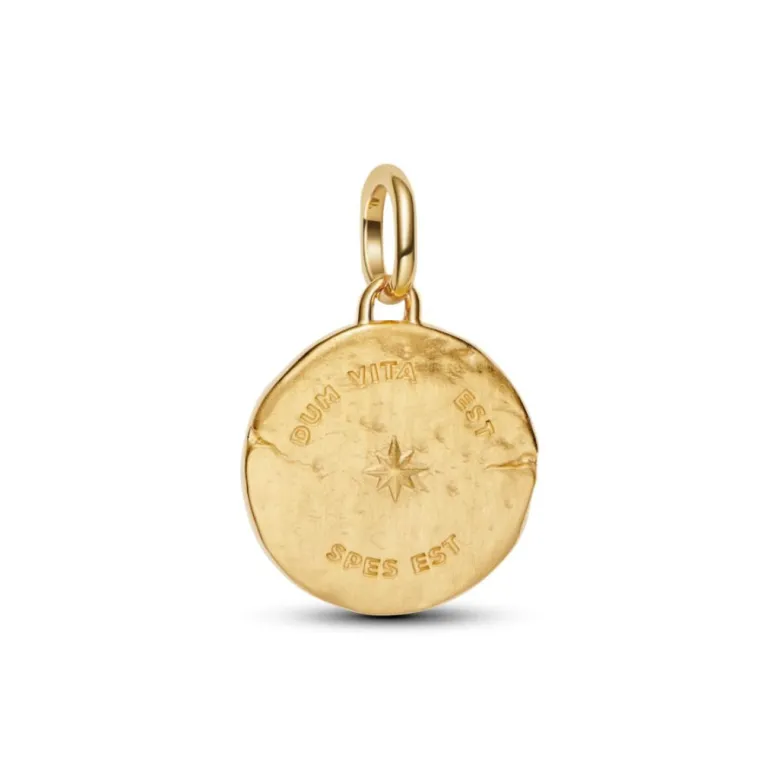 Pandora ME Swallow Medallion hela, keltakullattu, 764082C01