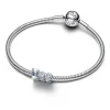 Pandora Moments BOO hela, hopea, 794060C01