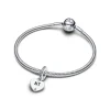 Pandora Moments Engravable Heart Tag hela, hopea, 798761C01