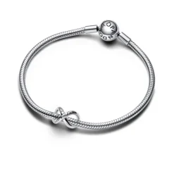 Pandora Moments Forever & Always Infinity hela, hopea, 793243C00