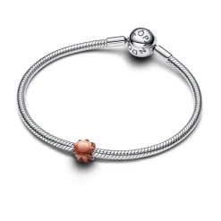 Pandora Moments Orange Sun Mini hela, hopea, 794818C01