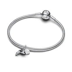 Pandora Moments Orca hela, hopeaa, 794683C01