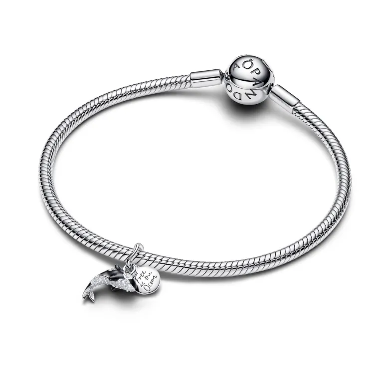 Pandora Moments Orca hela, hopeaa, 794683C01