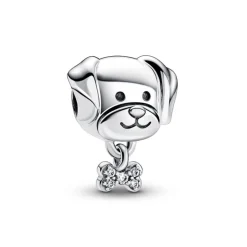 Pandora Moments Pet Dog & Bone hela, hopea, 792254C01