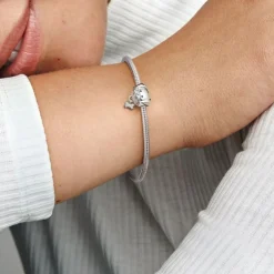 Pandora Moments Pet Dog & Bone hela, hopea, 792254C01