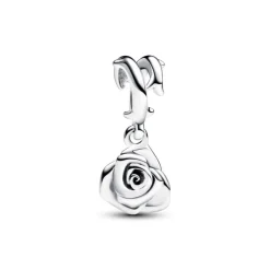 Pandora Moments Rose in Bloom hela, hopea, 793213C00
