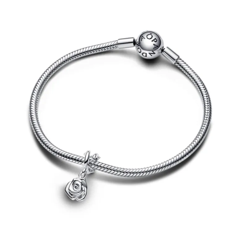 Pandora Moments Rose in Bloom hela, hopea, 793213C00