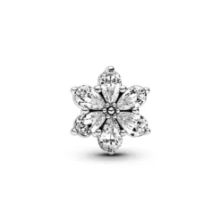 Pandora Moments Sparkling Herbarium Cluster hela, hopea, 792623C01