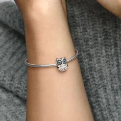 Pandora Moments Sparkling Owl hela, hopea, 798397NBCB