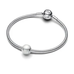 Pandora Moments White hela, hopea, 793781C01