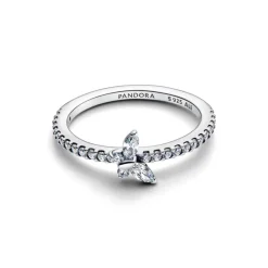 Pandora Timeless Sparkling Butterfly sormus, hopea, 194269C03